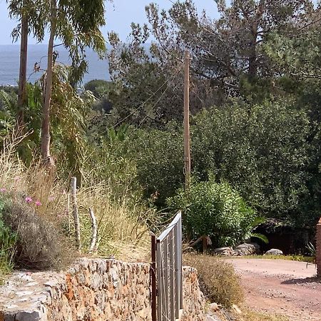 Villa Sea View Mesa Mpanta Káto Zákros 外观 照片