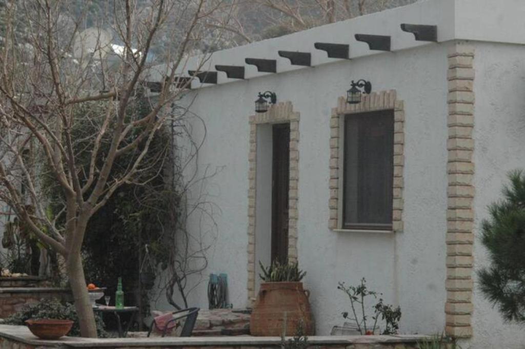 Villa Sea View Mesa Mpanta Káto Zákros 外观 照片